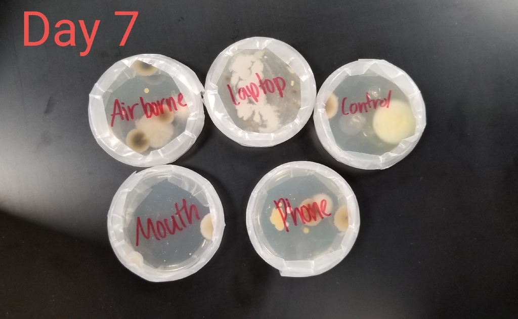 bio