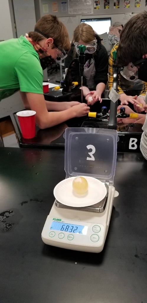 egg