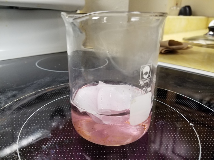 FCS Stain Experiment