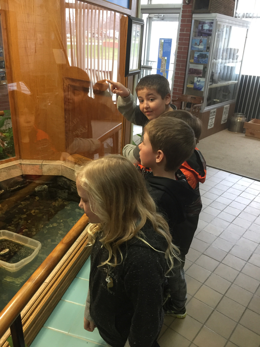 The 2nd graders enjoyed looking at all the aquatic life of our local lakes!