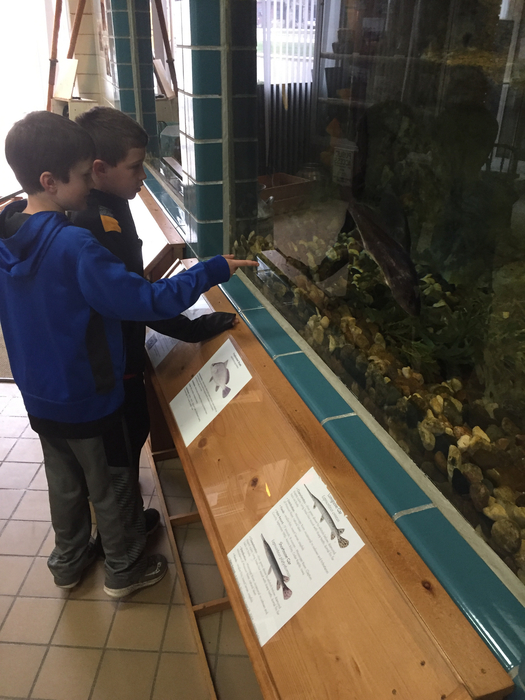 The students enjoyed looking at the different fish.